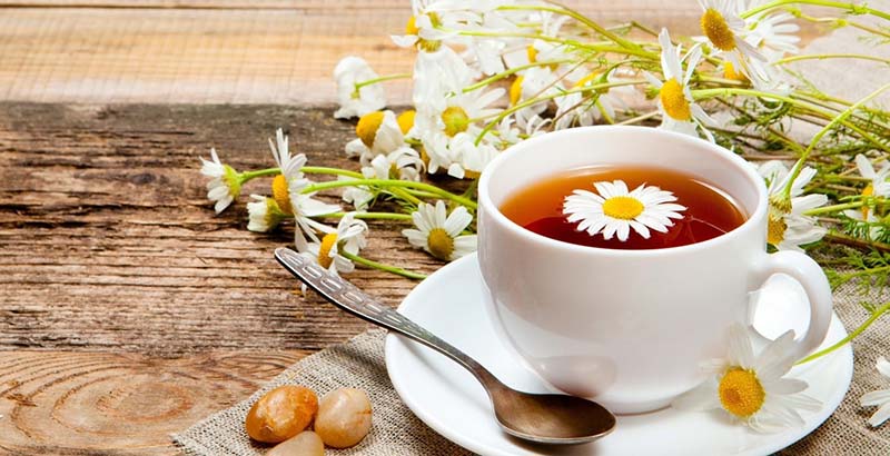 Trà hoa cúc mật ong bán tại Đà Nẵng