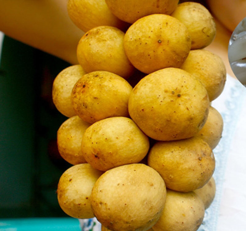 Đặc Sản Hội An Làm Quà