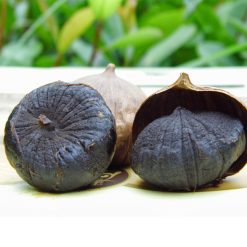 Tỏi Đen Một Tép ( Tỏi Cô Đơn)
