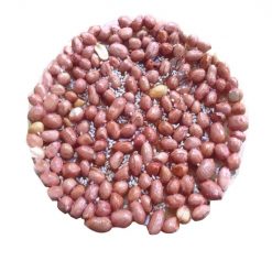 Kẹo đậu lạc tròn