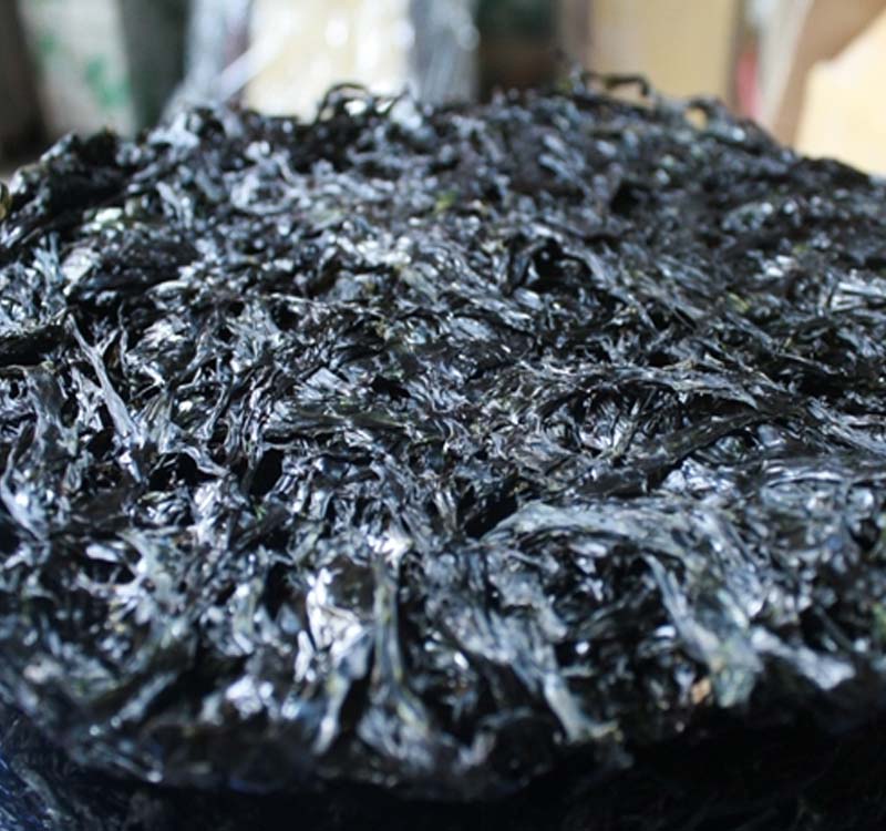 Đặc sản Đà Nẵng - Rong biển Mỹ Khuê Rong_bien_kho_Da_Nang