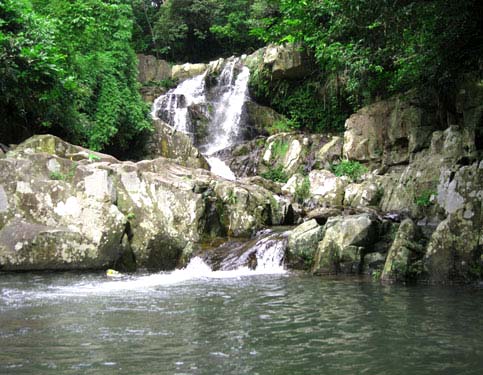 Suoi-luong