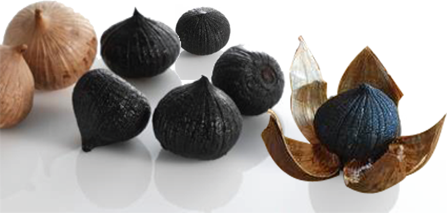 Đặc Sản Hội An Làm Quà