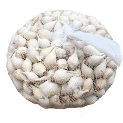 Tỏi cô đơn Lý Sơn