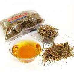 Diệp Hạ Châu khô (Cây chó đẻ)