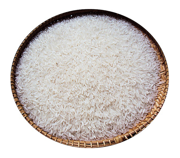 gao-moi-ngay-tet
