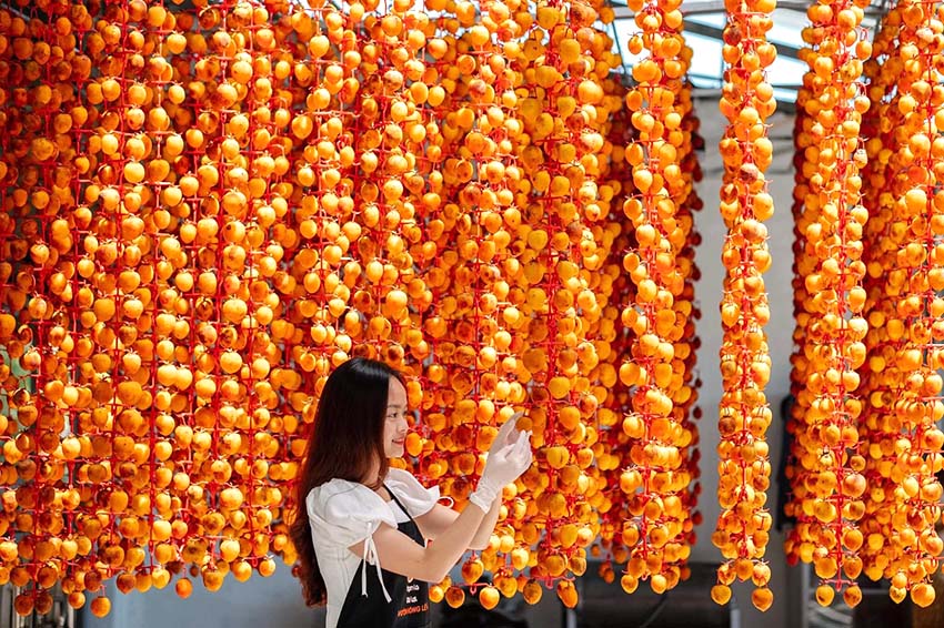 Vườn hồng sấy treo